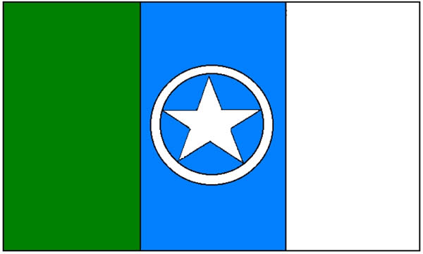 bandeira da cidade
